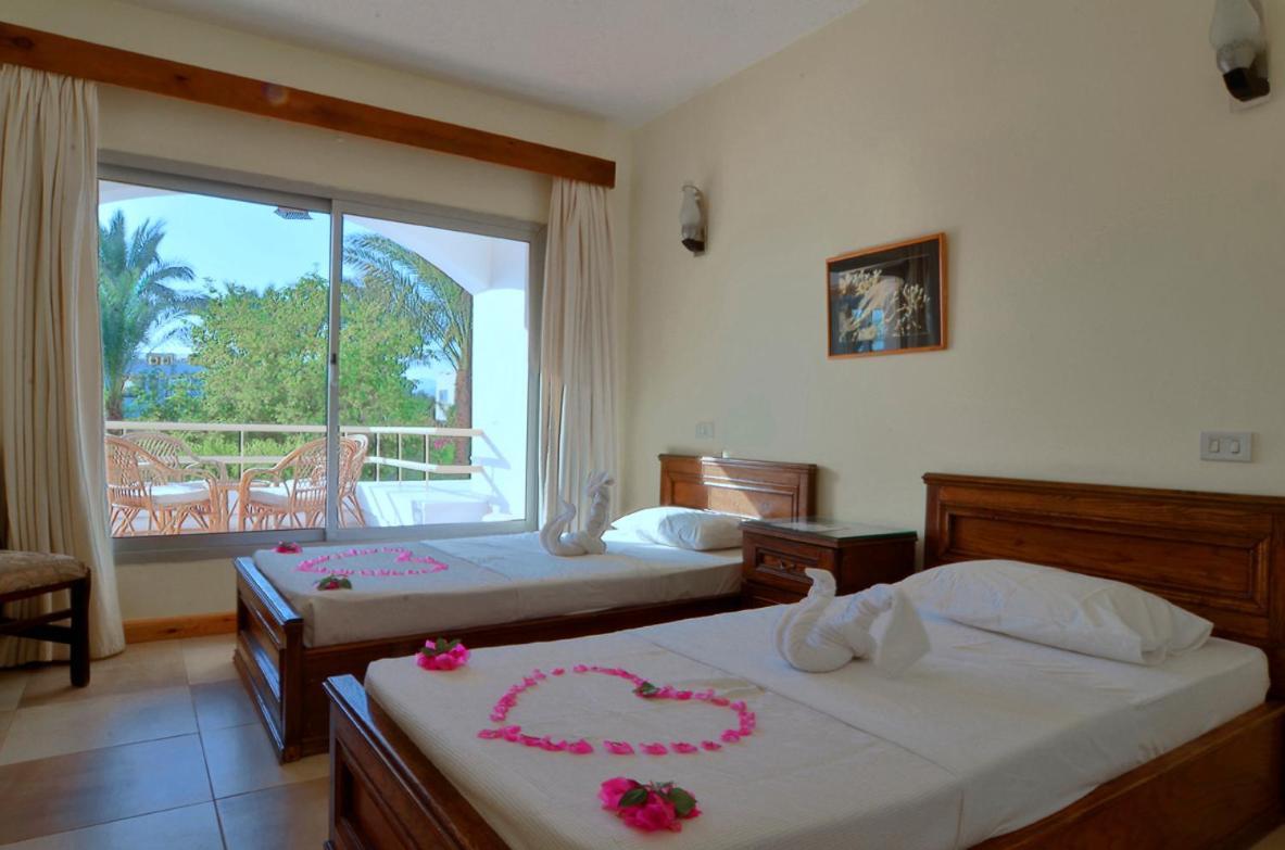 Oonas Dive Club Hotel Sharm el-Sheikh Ngoại thất bức ảnh