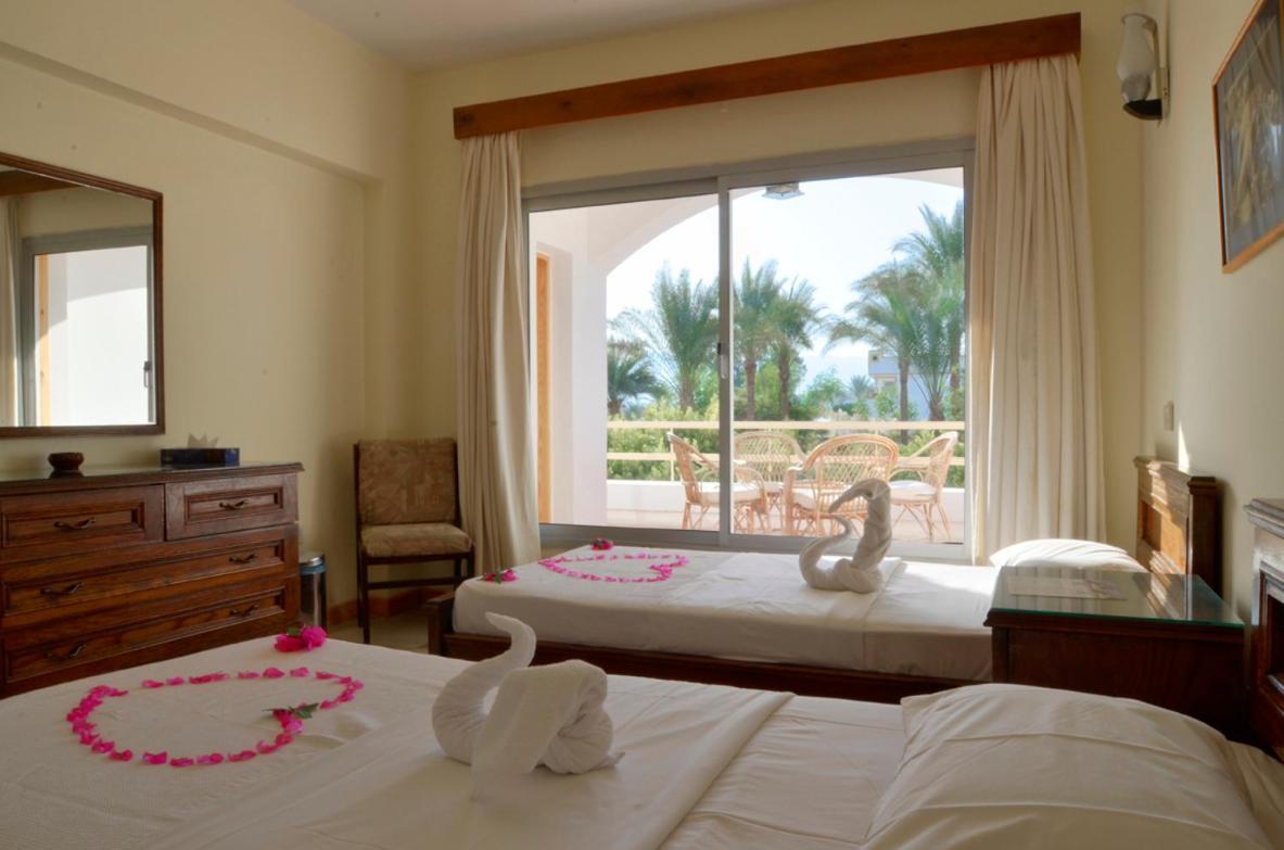 Oonas Dive Club Hotel Sharm el-Sheikh Ngoại thất bức ảnh