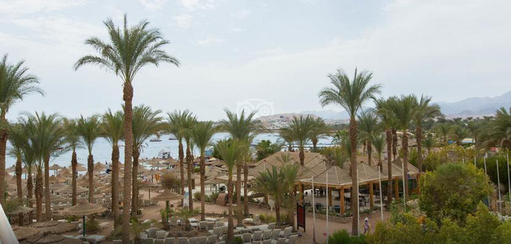 Oonas Dive Club Hotel Sharm el-Sheikh Ngoại thất bức ảnh